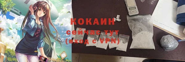 дурь Богданович
