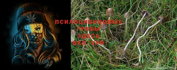 дурь Богданович