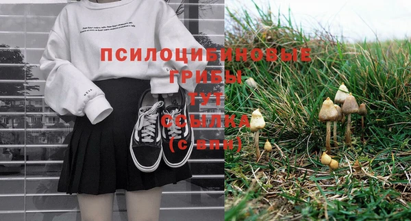 дурь Богданович